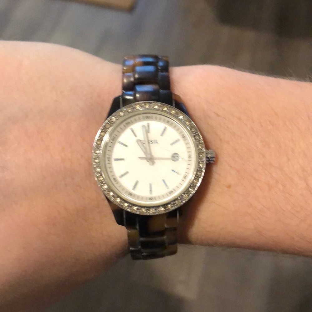 Tortoise fossil watch